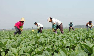 ���ع���