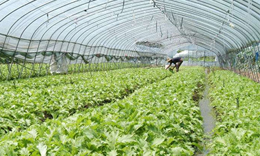 ���ع���