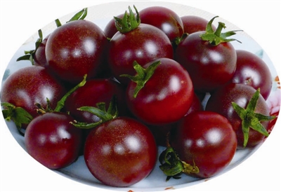 �˹ܼ��c�������ԭ��(l��i)��Ժڷ��ѣ���(du��)Ƥ�w�@ô����