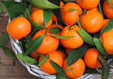 �˹ܼҸ��V�㣺�����ǳ����ӵļ���(ji��)������x�������������